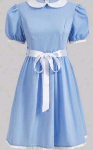 Kids Costumes to Hire - Wendy Dress - Girl